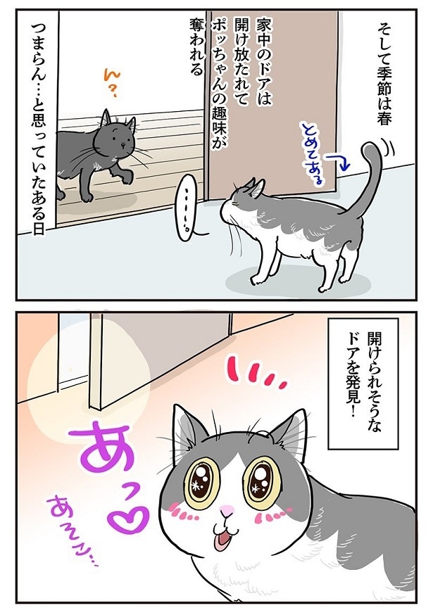 「開けたり閉めたりが楽しいらしい」2