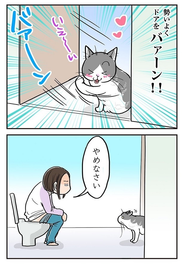 「開けたり閉めたりが楽しいらしい」3