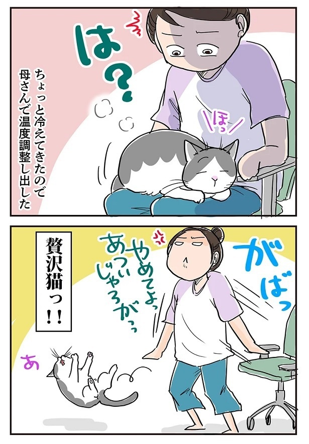 「猫が長くなる季節」3