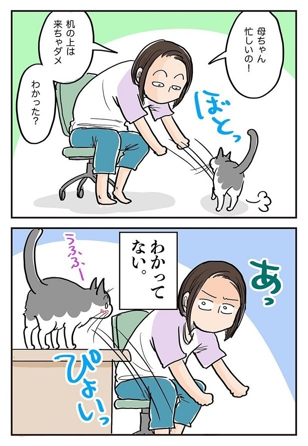 「3匹いると説教も大変」2
