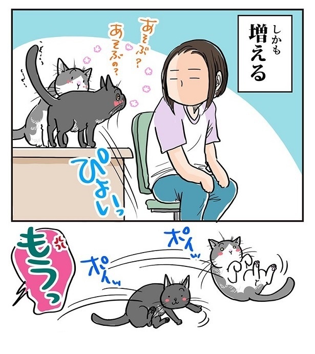 「3匹いると説教も大変」3