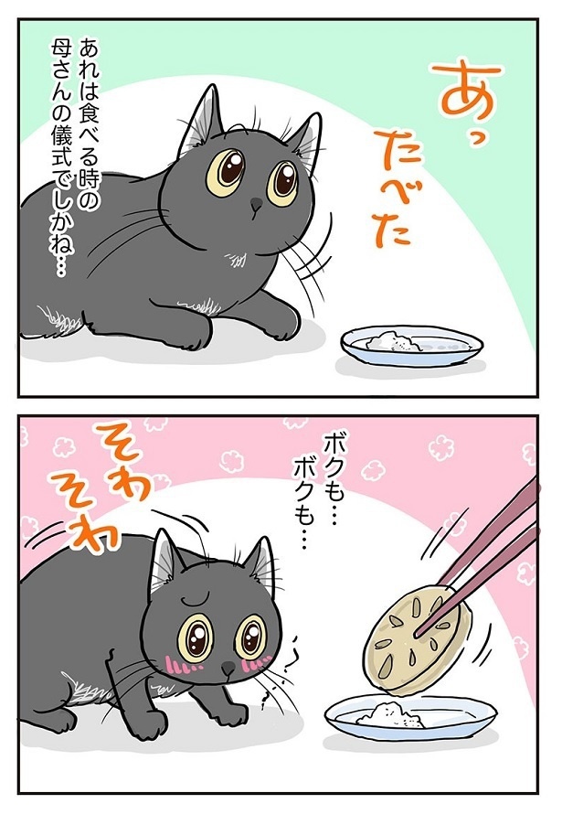 「ボクもその儀式に参加したい」2
