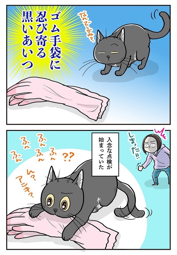 「布に付いた猫毛は…」3