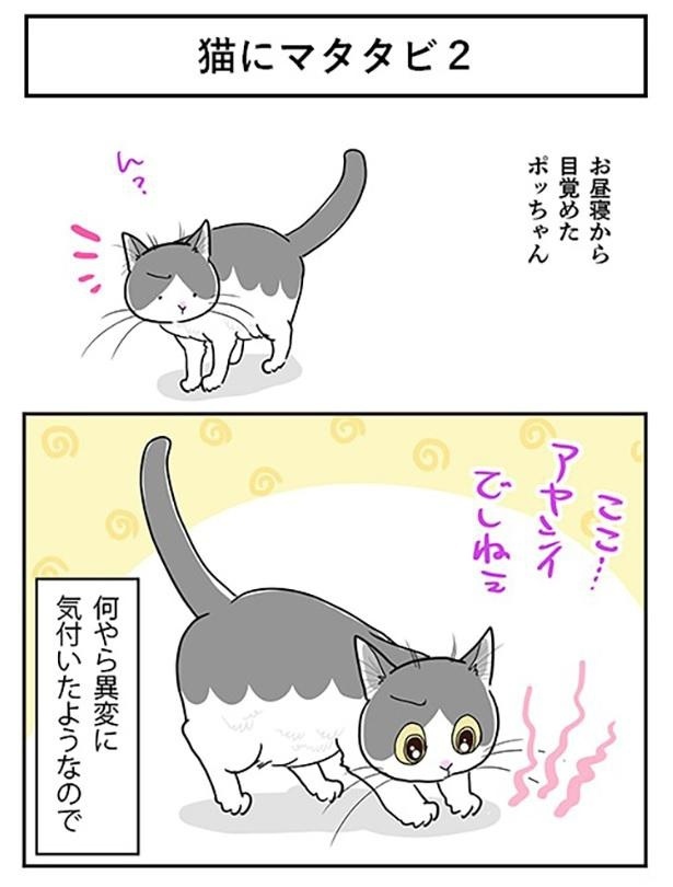 「猫にマタタビ2」1
