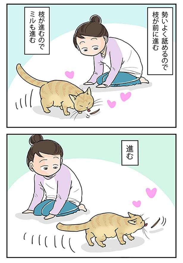 「猫にマタタビ」3