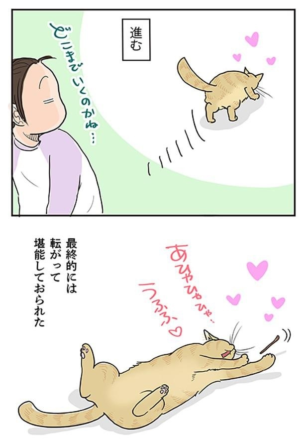 「猫にマタタビ」4