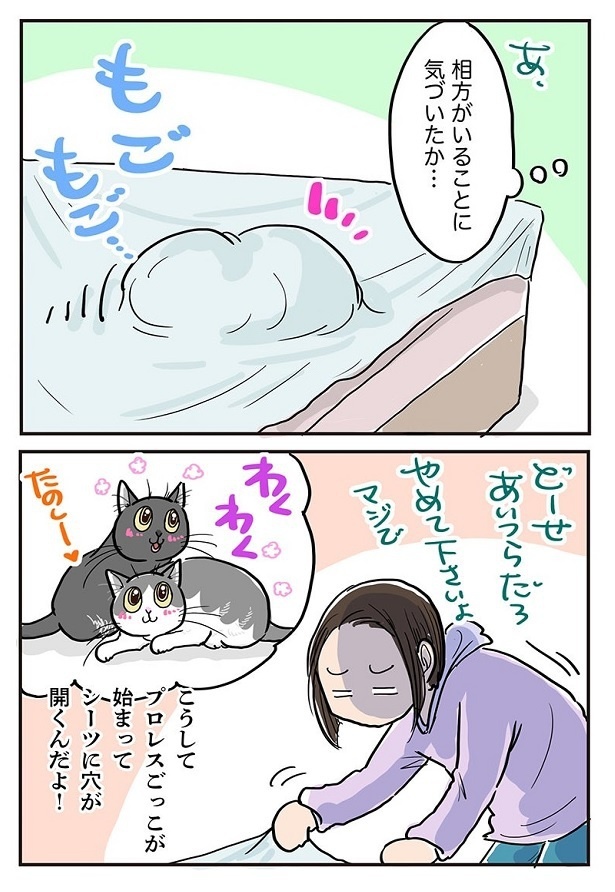 「いないと思ってても全員集合」2