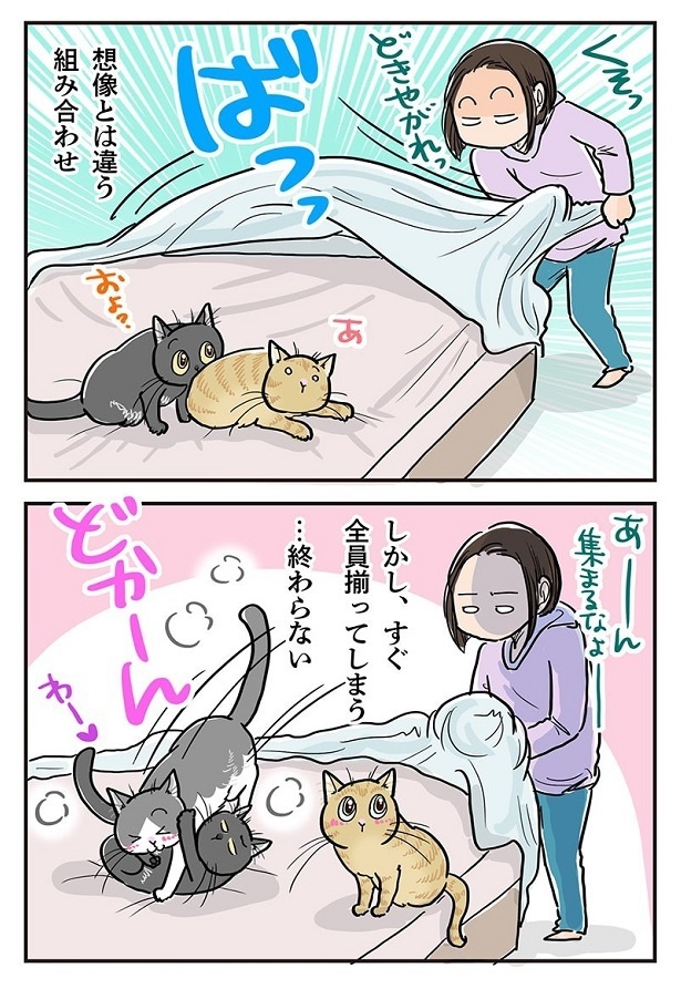 「いないと思ってても全員集合」3