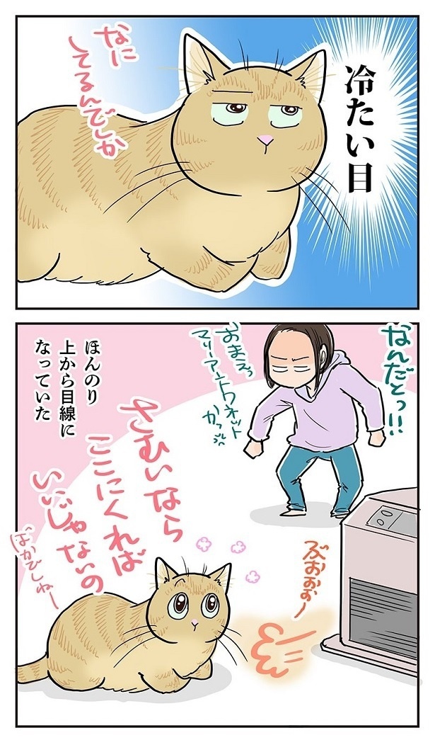 「そんなに寒いなら…」3