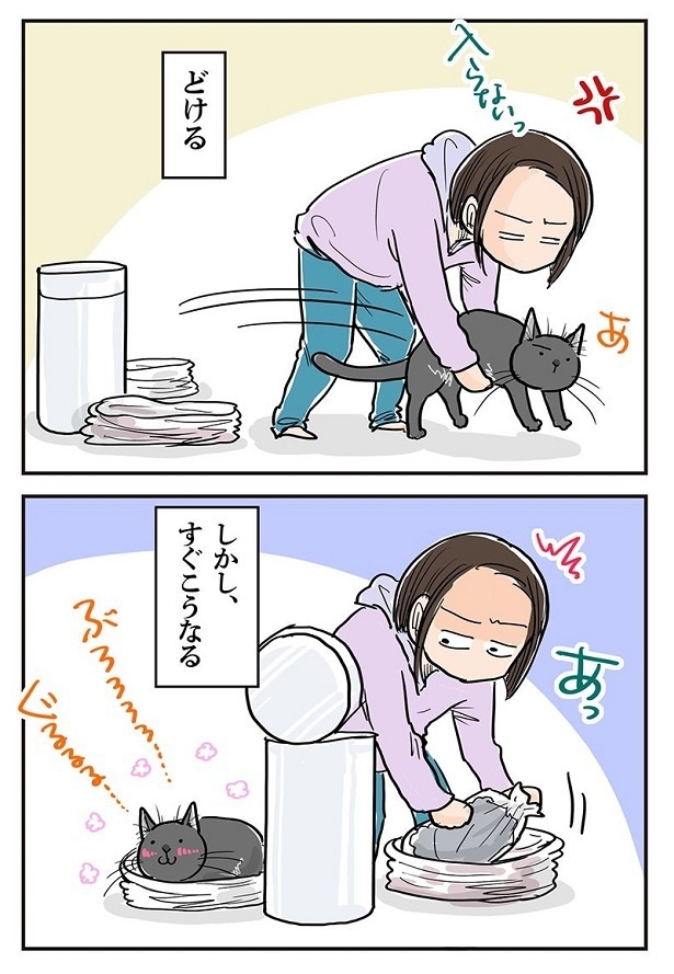 「一猫去って　また一猫」3