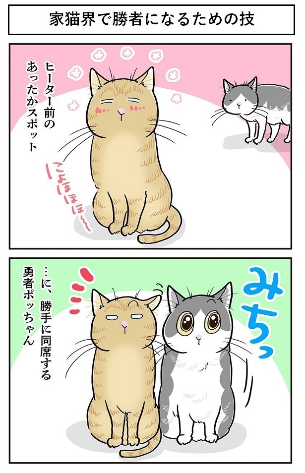 「家猫界で勝者になるための技」1