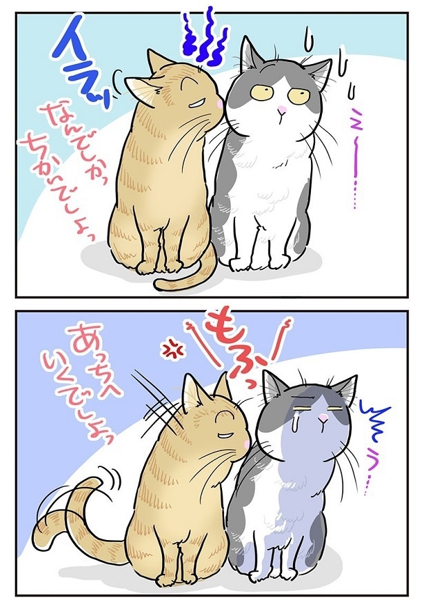 「家猫界で勝者になるための技」2