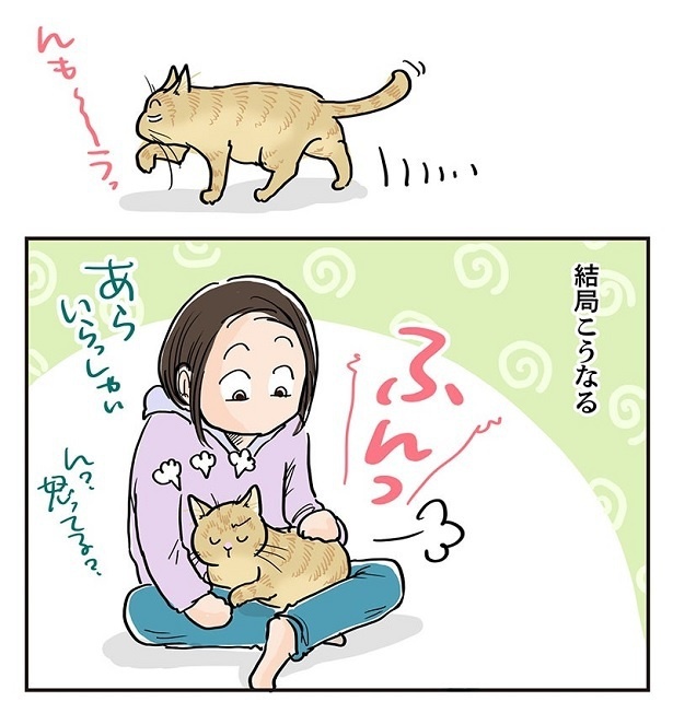「家猫界で勝者になるための技」3
