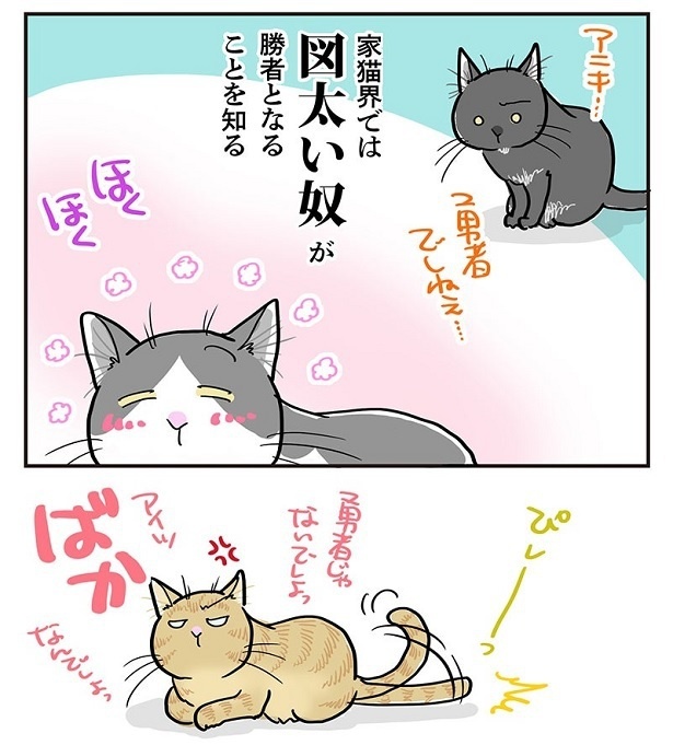 「家猫界で勝者になるための技」4