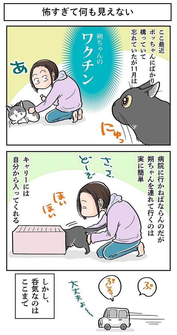 「怖すぎて何も見えない」1