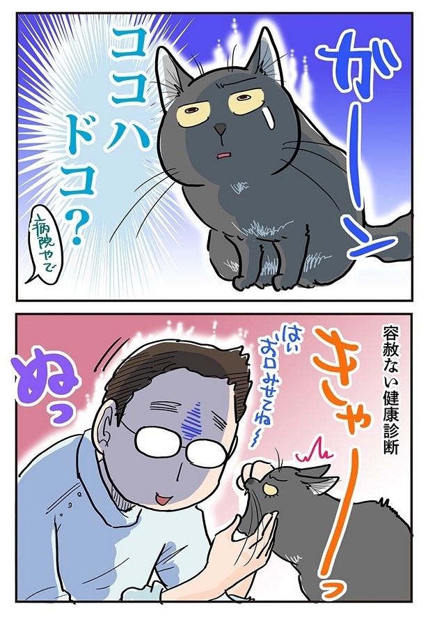 「怖すぎて何も見えない」2