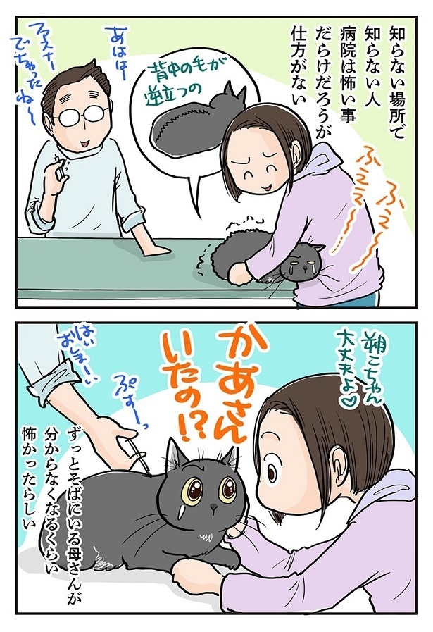 「怖すぎて何も見えない」3