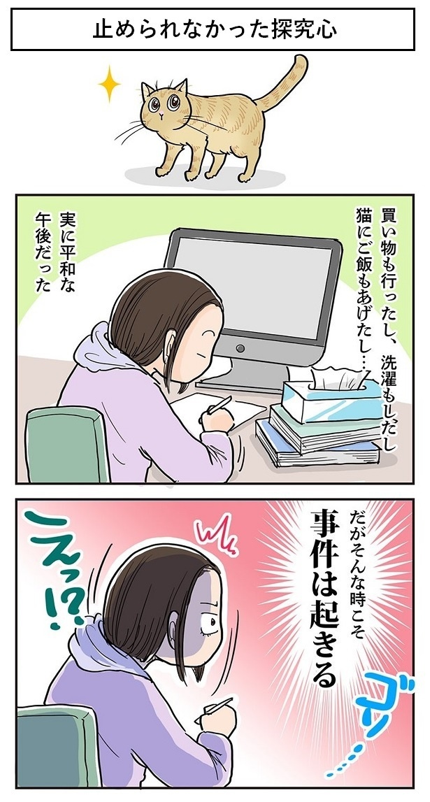 「止められなかった探求心」1
