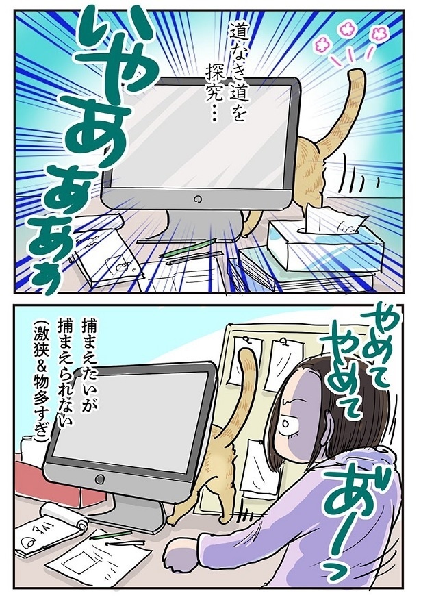 「止められなかった探求心」2