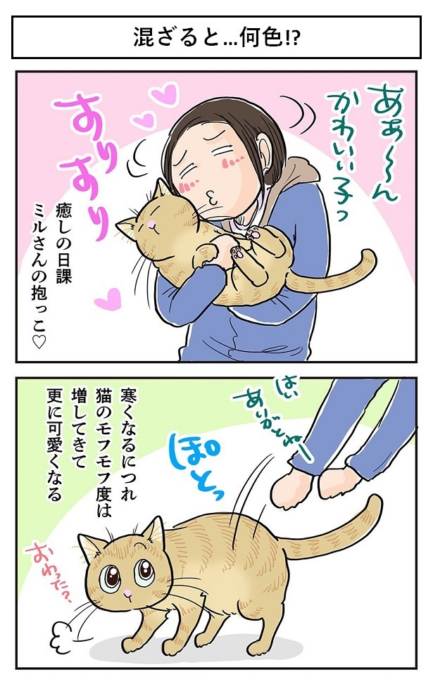 「混ざると…何色!?」1