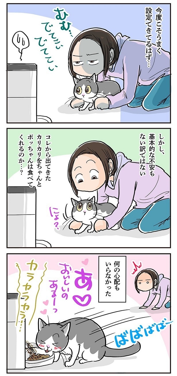 「自動給餌機を買ってみた！」3