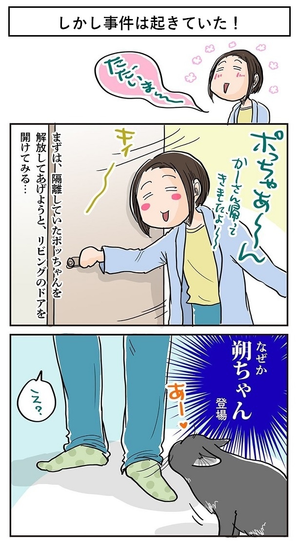 「自動給餌機を買ってみた！」4