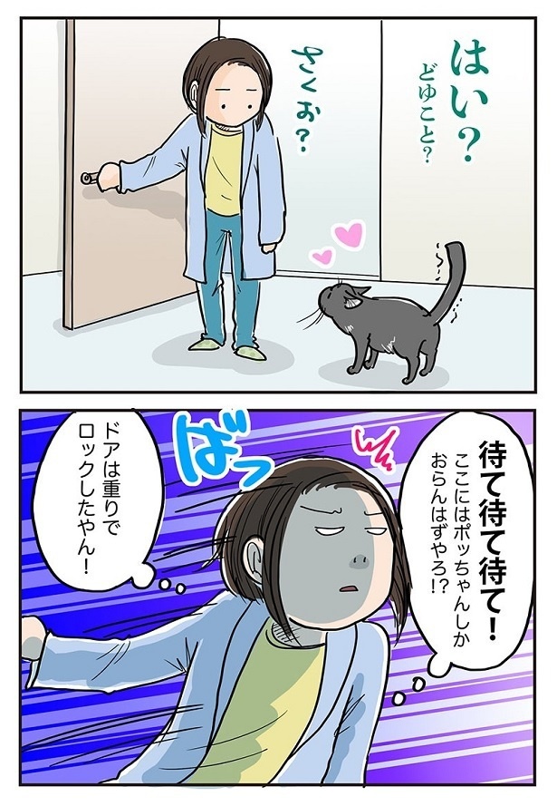 「自動給餌機を買ってみた！」5