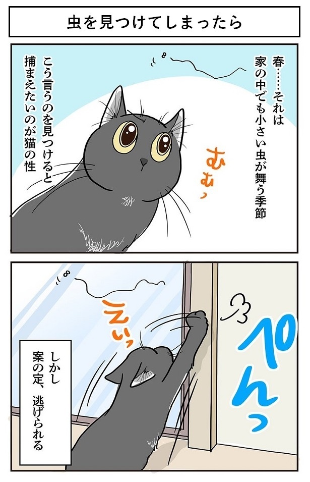 「虫を見つけてしまったら」1