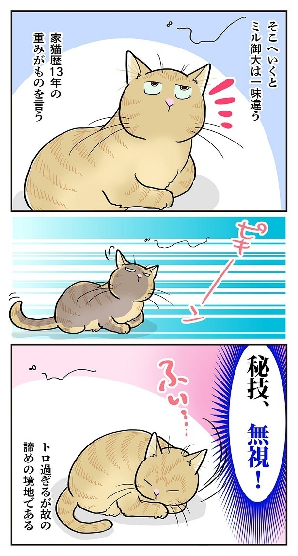 「虫を見つけてしまったら」3