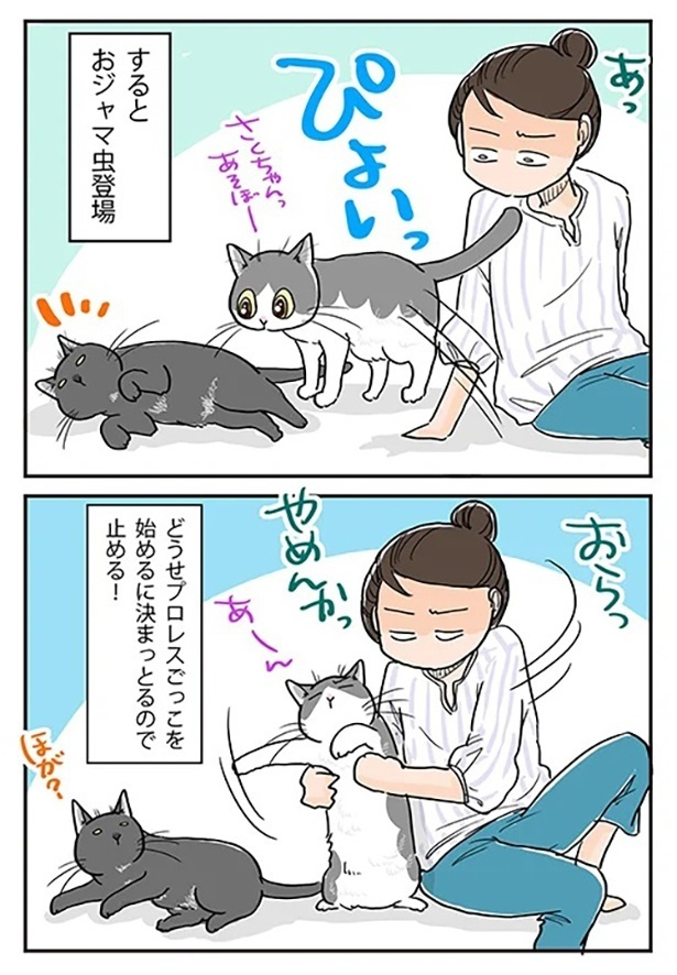「暑い日に説教するとさらに暑い」2