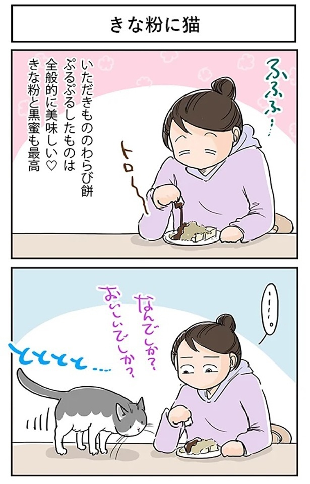 「きな粉に猫」1