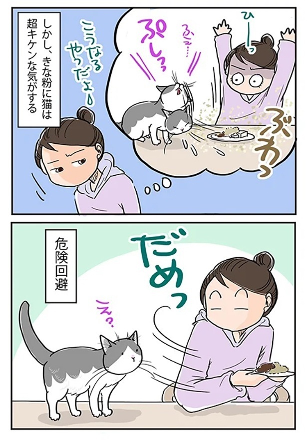 「きな粉に猫」2