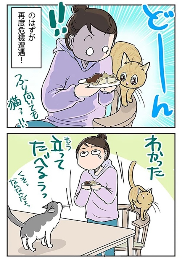 「きな粉に猫」3