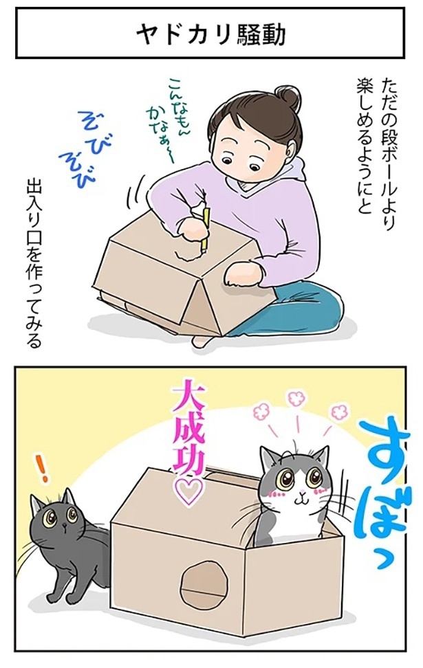 「ヤドカリ騒動」1