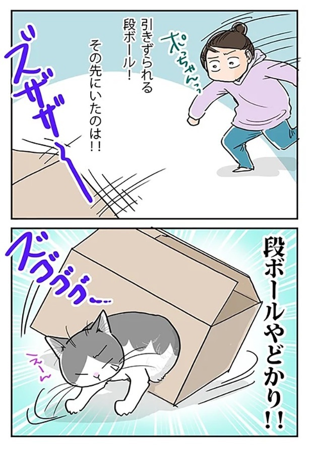 「ヤドカリ騒動」3