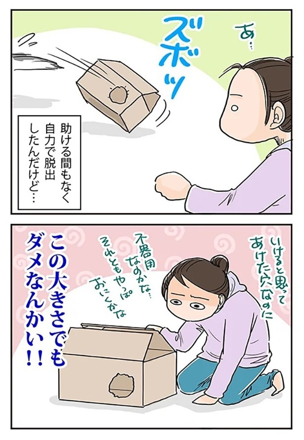 「ヤドカリ騒動」4