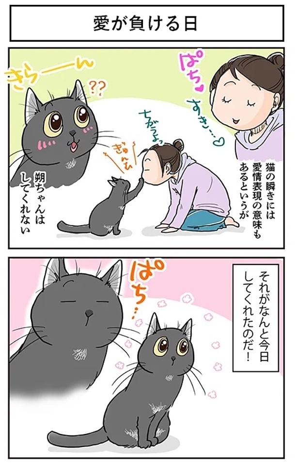 「愛が負ける日」1