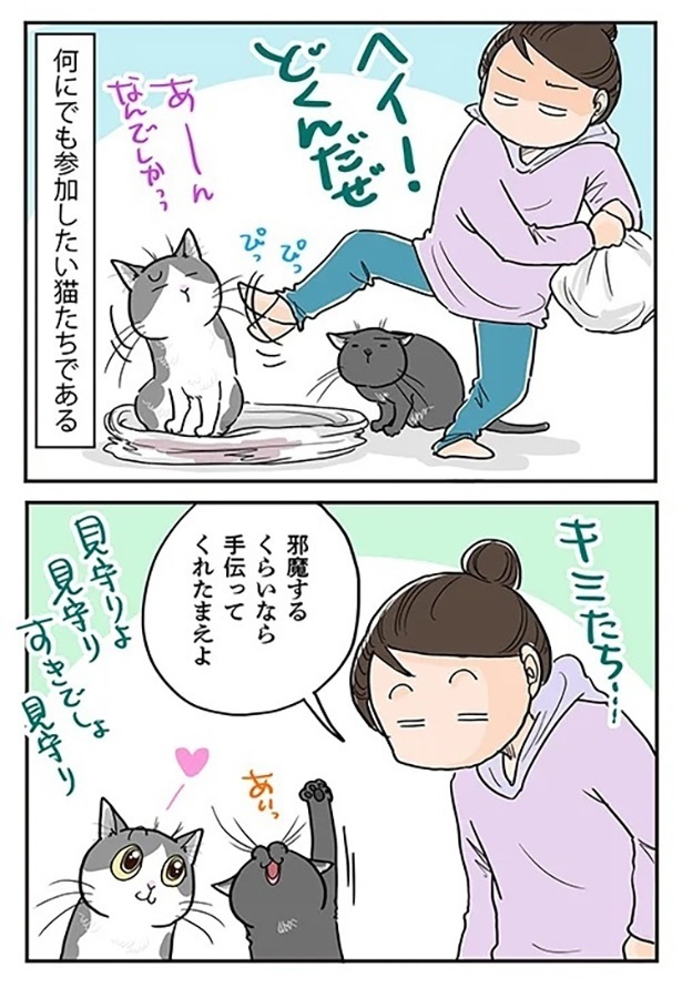 「猫ができるお手伝い」2
