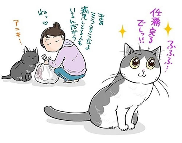 「猫ができるお手伝い」4
