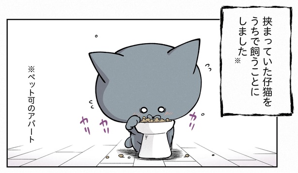 12話P1-1