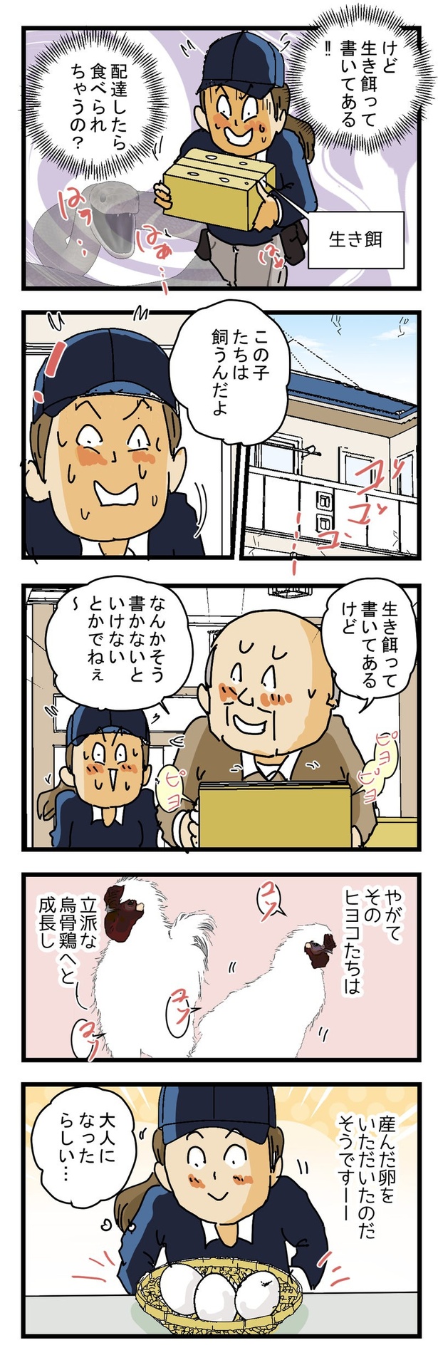 ヒヨコの宅配便2