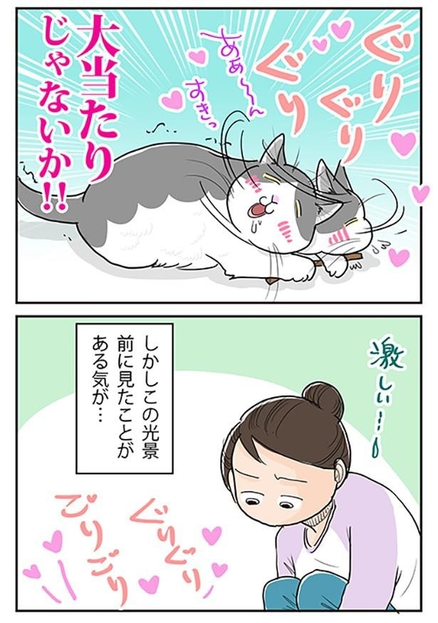 「猫にマタタビ2」3