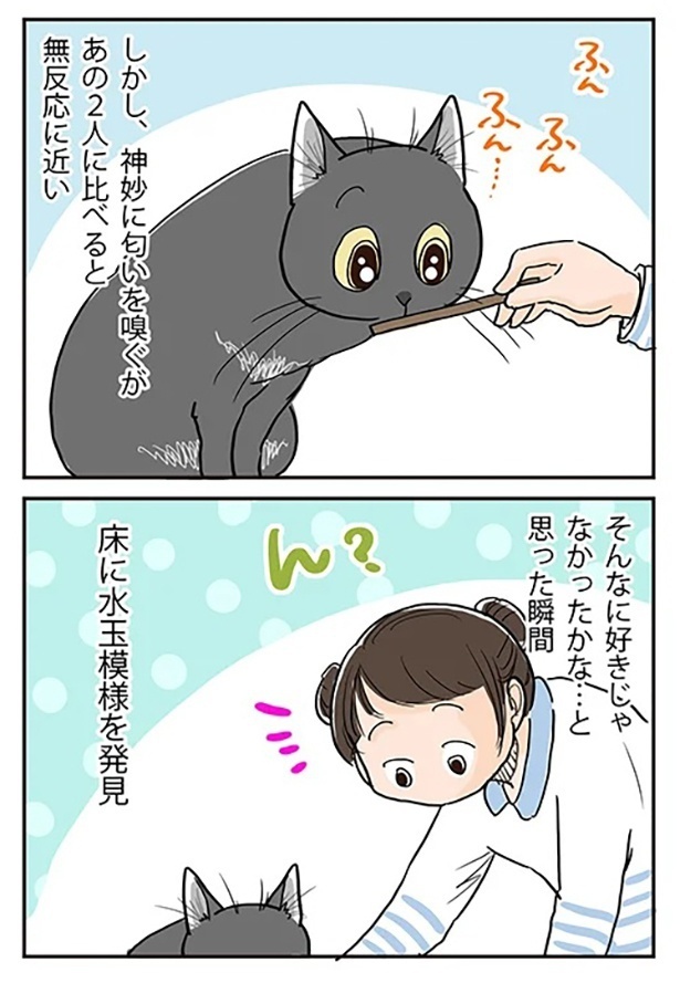 「それぞれの楽しみ方」3