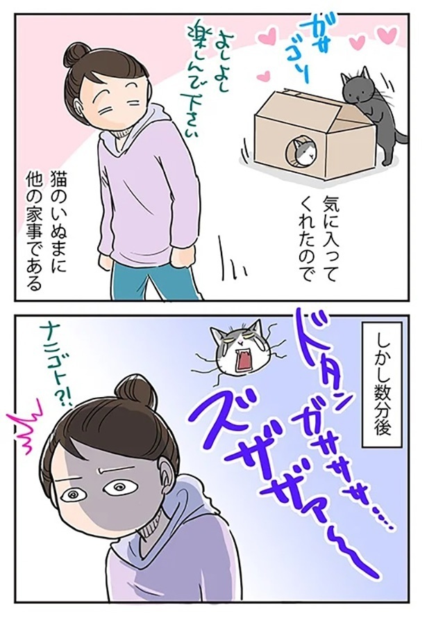 「ヤドカリ騒動」2