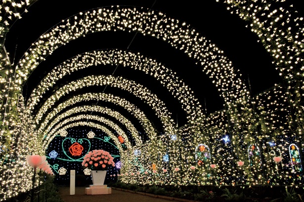 画像6 7 日本三大イルミネーション に認定された あしかがフラワーパーク 光の花の庭 へ ウォーカープラス
