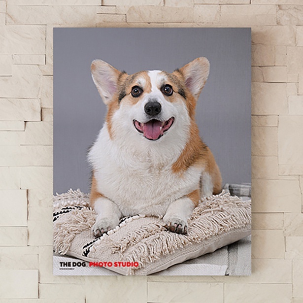 フォトパネル(9500円〜)