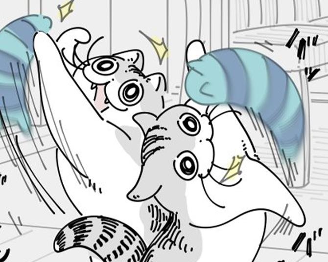 【ネコ漫画】大好きなおもちゃで遊びまくる愛猫!?その姿に「かわいすぎます」などの共感コメント＆7.5万いいねの大反響