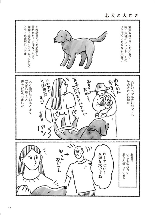 老犬と大きさ(1)
