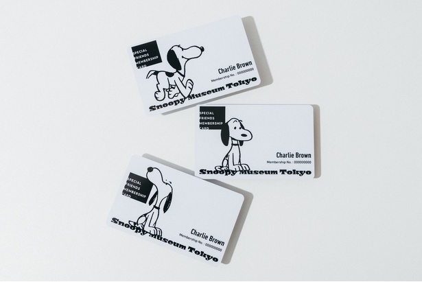 「SPECIAL FRIENDS MEMBERSHIP CARD」3種類