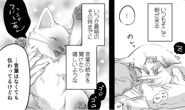 言葉の壁と猫(8)